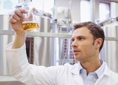 Tastier Beer!? Microbiologists Discover Way to Improve Beer's Flavor