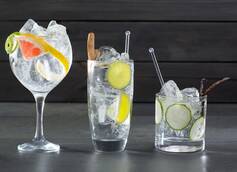 The Origins of Gin and Tonic and Nine Fun G&T Recipes for Summer