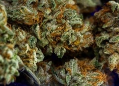 21 Best Indica Strains For Relaxation