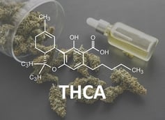 What Is THCa and What Does It Do? The Difference Between THCa and THC