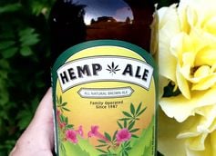 The Buzzing Science Behind Cannabis Beer