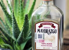 A Brief History of Tequila for Student Bartenders