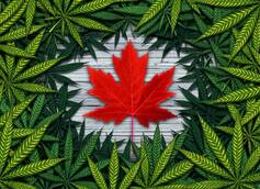 Cannabis Shipping in Canada
