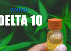 Discover the Mystery behind Delta 10 Products, Things You Need To Know!