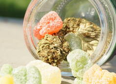 Your Guide to Different Kinds of Edibles