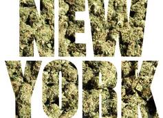Examining the Benefits of Medical Cannabis for New York Patients