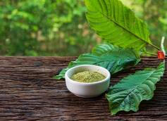 Should You Buy Super Green Indo Kratom For Your House Party This Year?