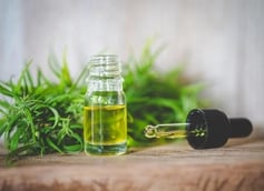 How to Cure Your Hop Hangover with a Little Help from CBD Oil