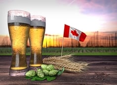 Top 10 Best-Brewed Beers Loved by Canadians