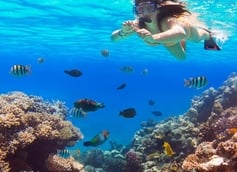 Top Things to Know Before You Try Snorkeling for the First Time