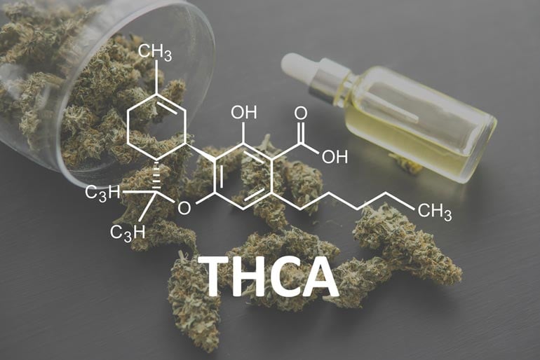 https://beerconnoisseur.com/wp-content/uploads/2025/02/10-things-you-need-to-know-about-thca-flower.jpg