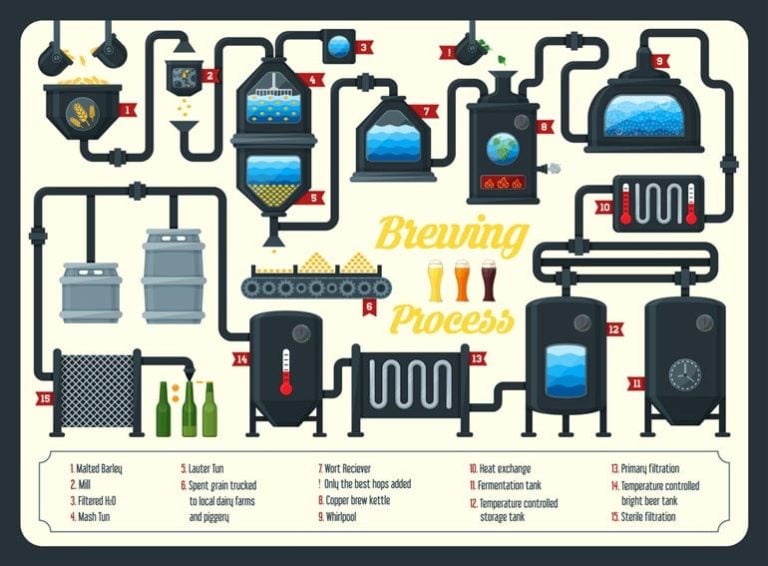 Beer 101: The Fundamental Steps of Brewing