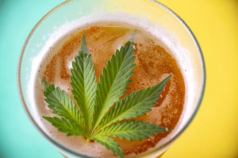 https://beerconnoisseur.com/wp-content/uploads/2025/02/beer-vs-cbg-is-cannabis-replacing-beer.jpg