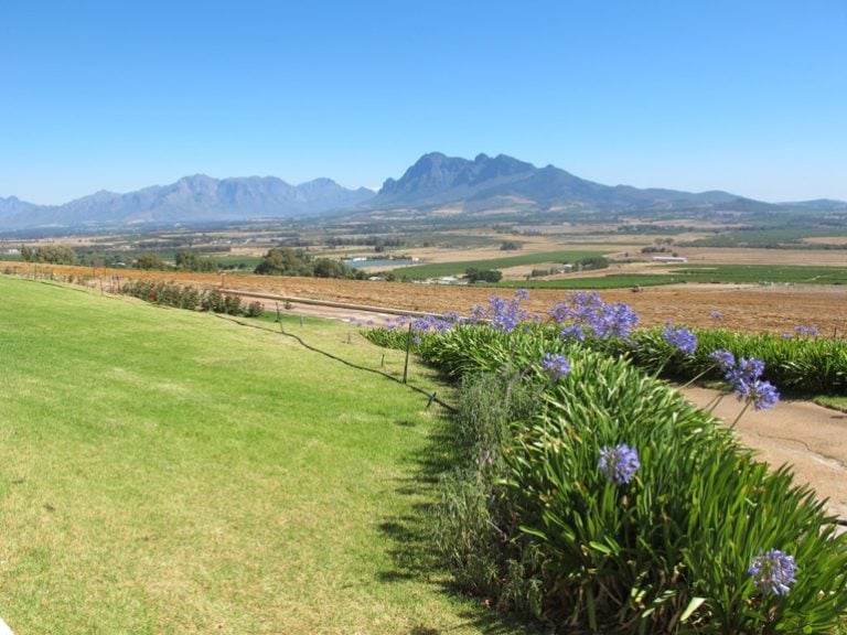 The view from Cape Brewing Company's beer garden. (Photo Credit: Lucy Corne)