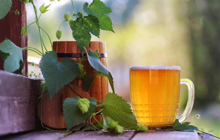 Eco-friendly brewery materials with  beer glass and hops around