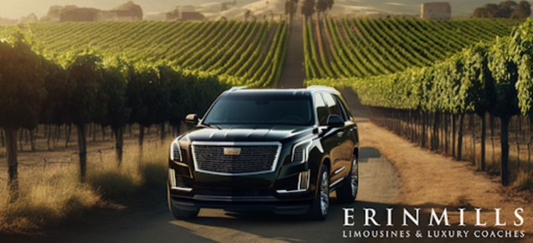 Luxury Limousines for Niagara Falls Wine Tours: The Ultimate Prince Edward County Experience