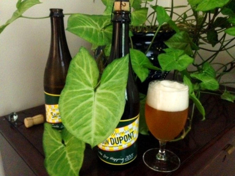 Saison Dupont Cuvee Dry Hopping 2015