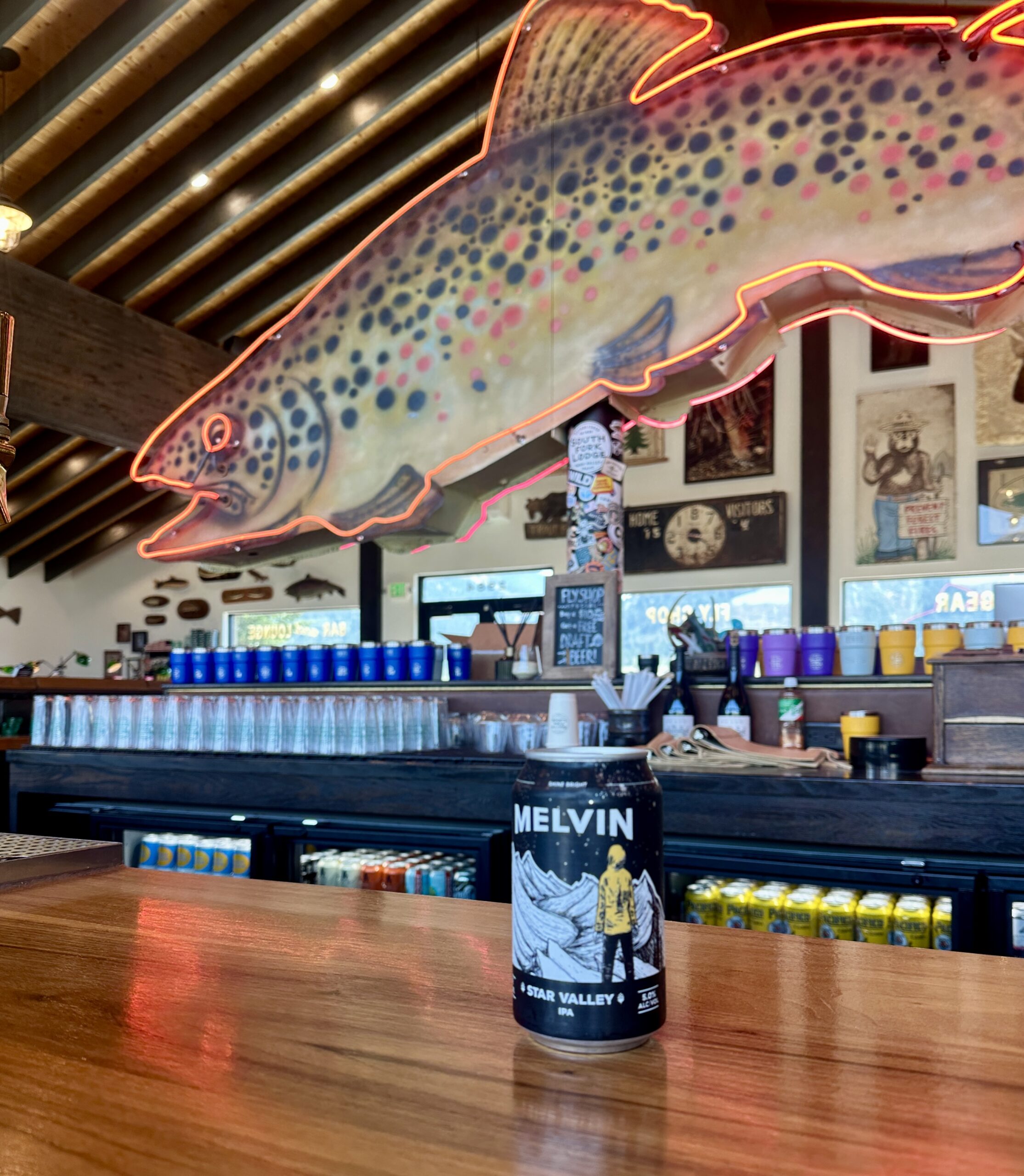 SFLY bar with beer atop it.
